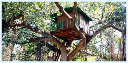 Marayoor Tree House